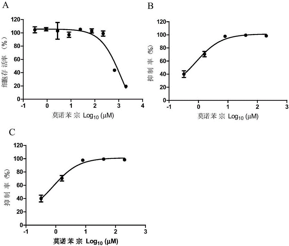 Application of Monobenzone to preparation of medicaments