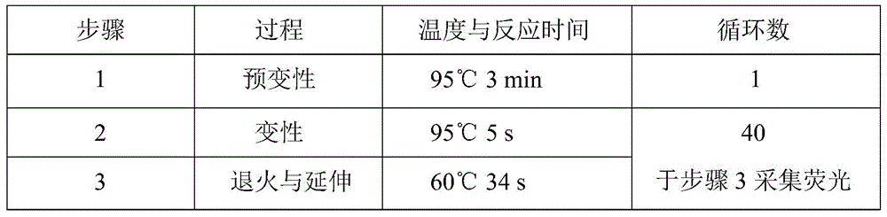 VKORC1 gene polymorphism detecting and genotyping kit based on AllGlo probe and genotyping method thereof