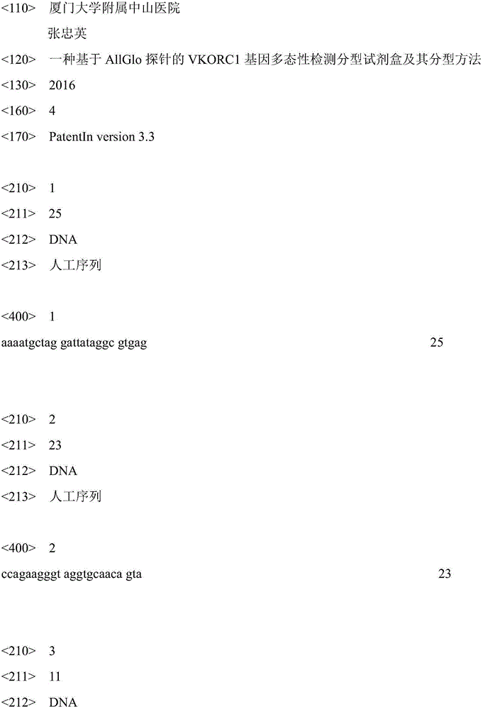 VKORC1 gene polymorphism detecting and genotyping kit based on AllGlo probe and genotyping method thereof