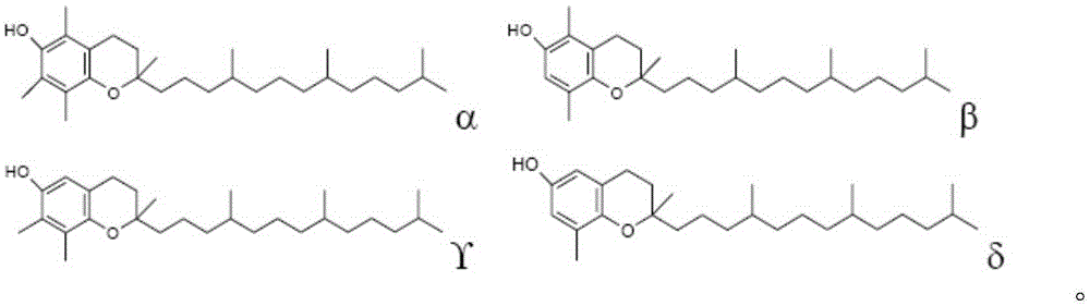 Anti-oxidation composition and application thereof