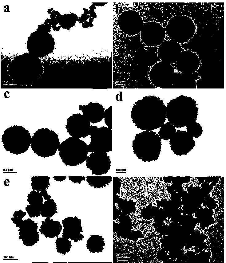 Preparation method and purpose thereof of spherical ferriferrous oxide nano particles with controllable size