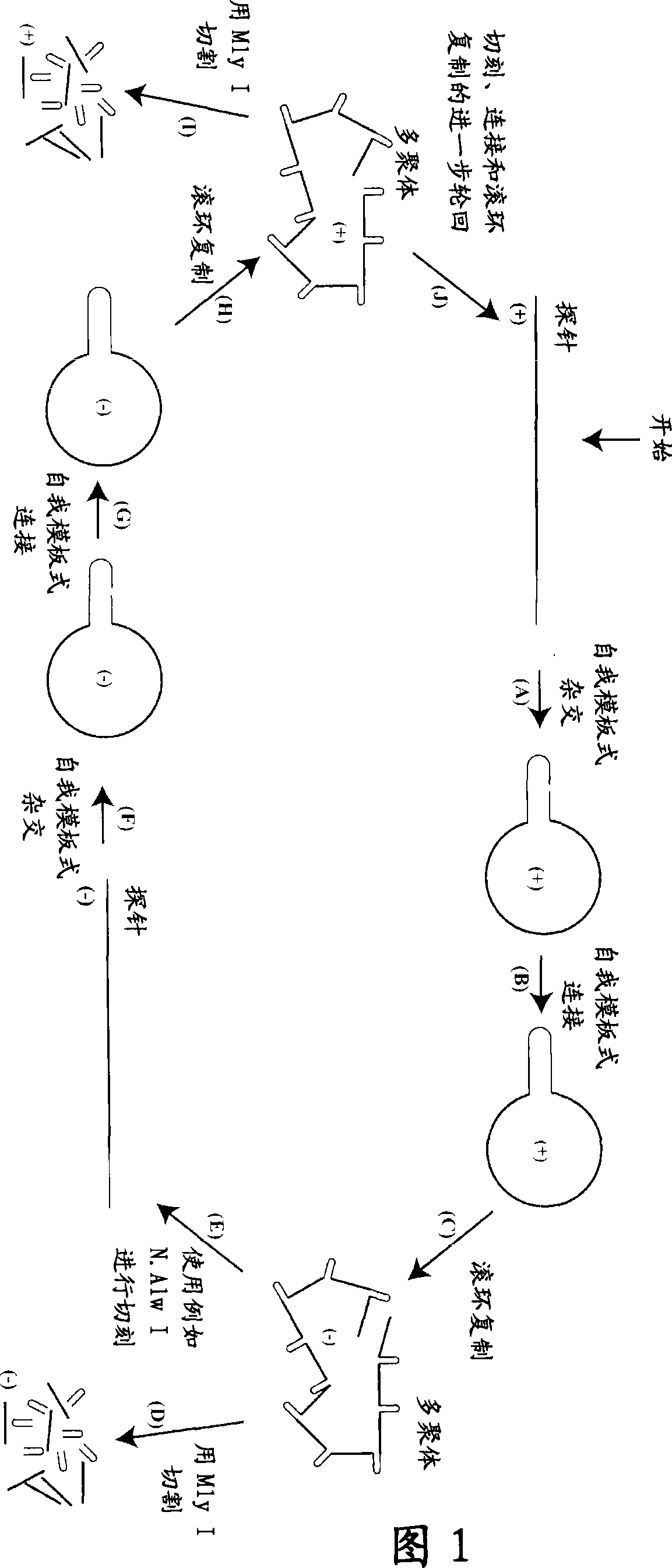 Methods for production of oligonucleotides