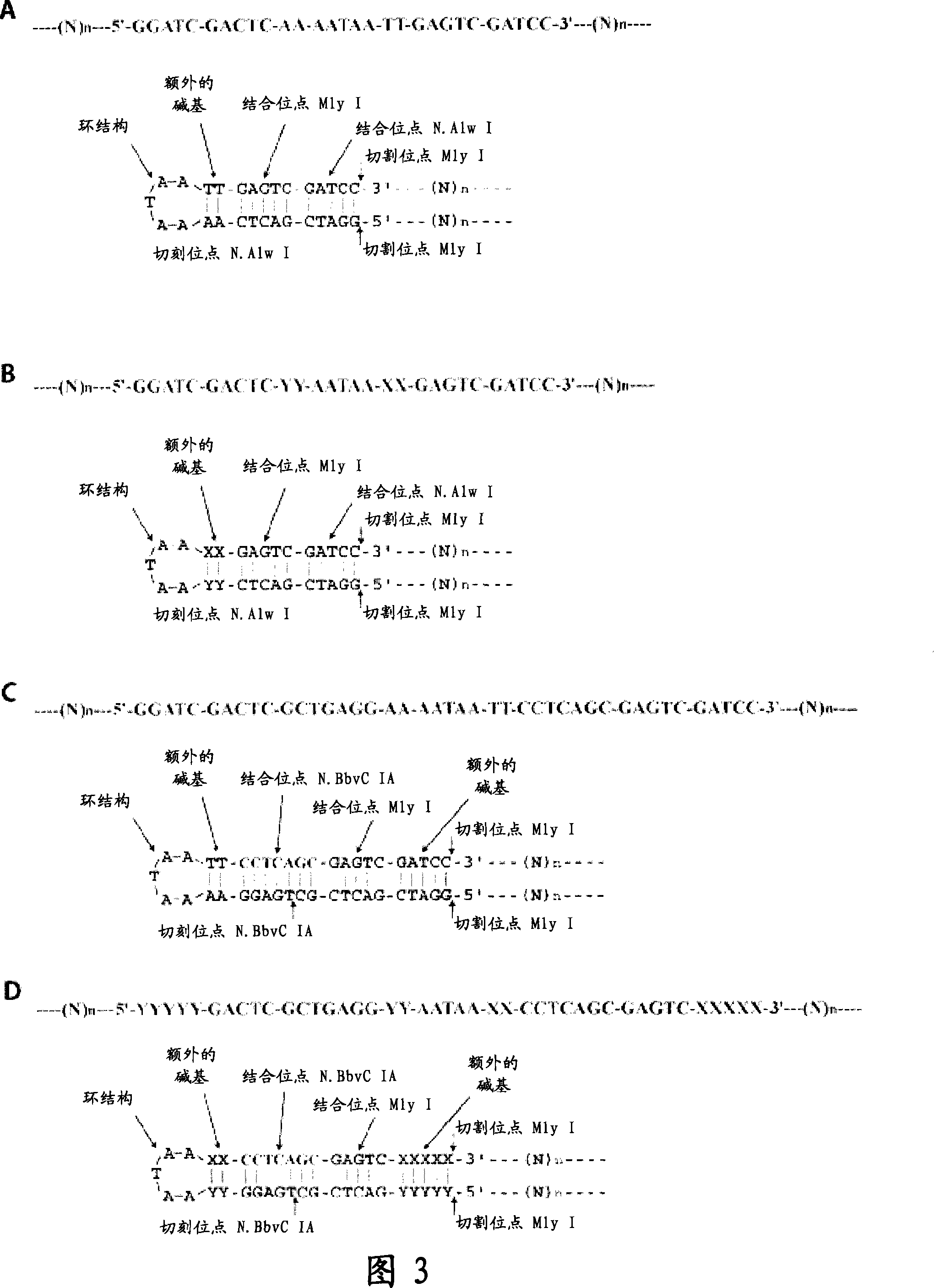 Methods for production of oligonucleotides