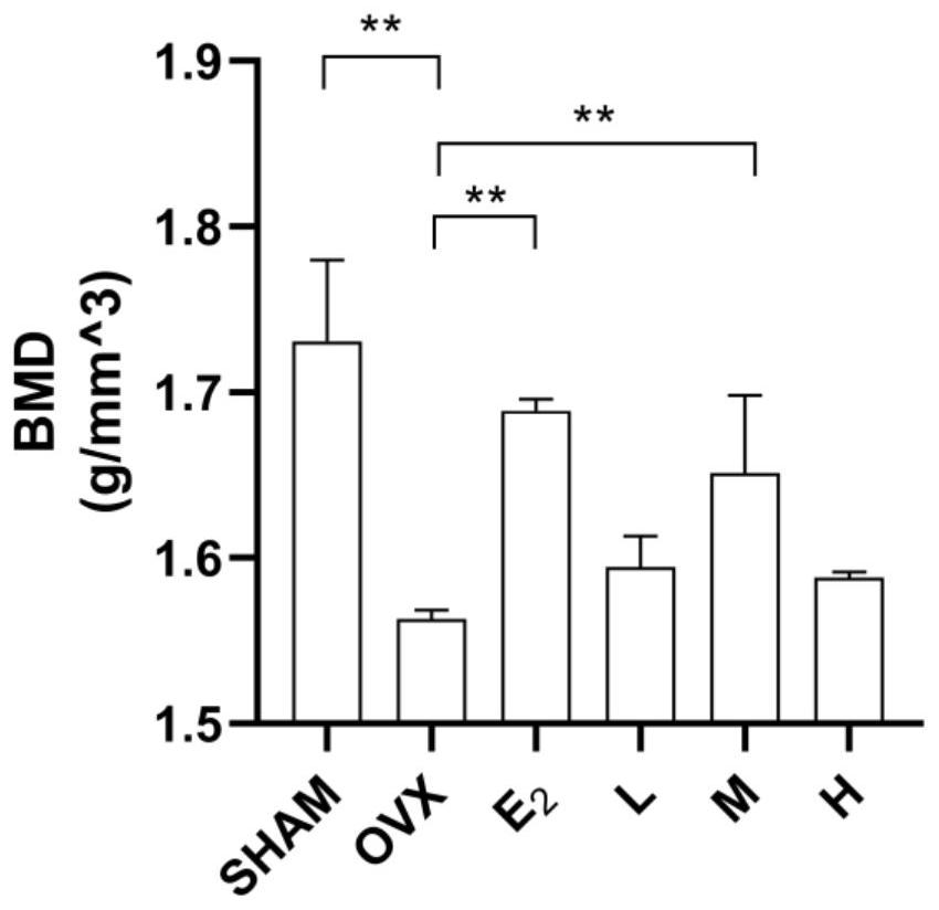 Sea cucumber extract for increasing bone mineral density