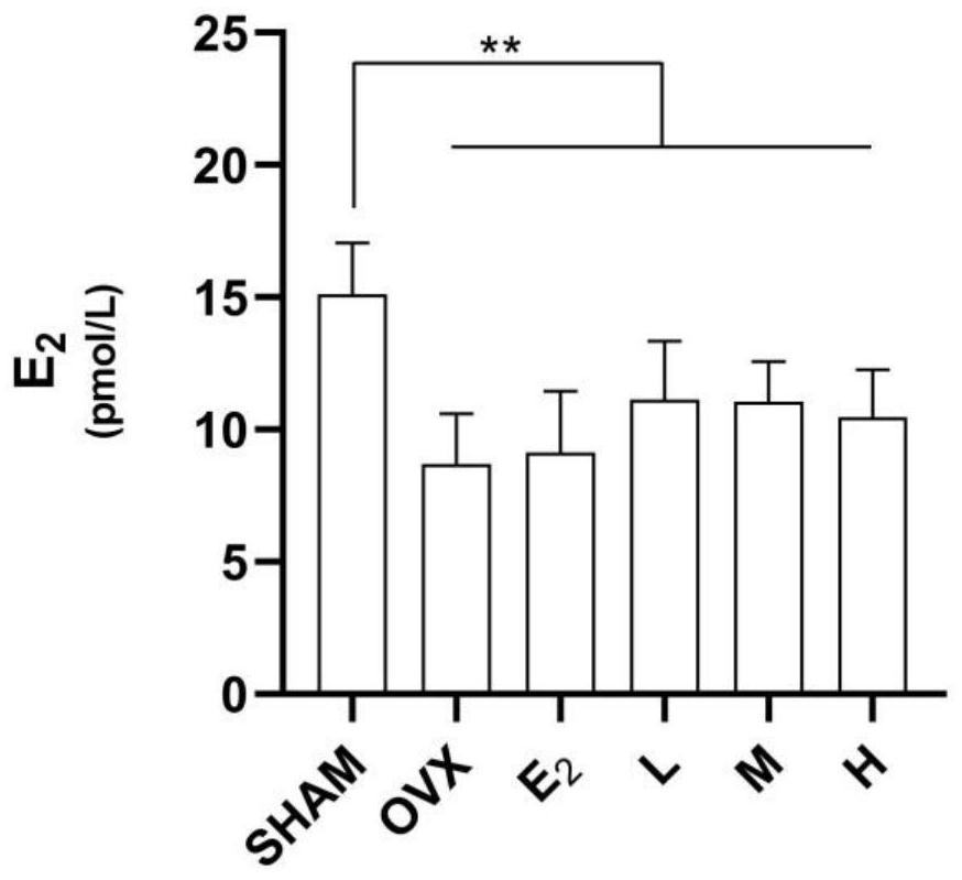 Sea cucumber extract for increasing bone mineral density