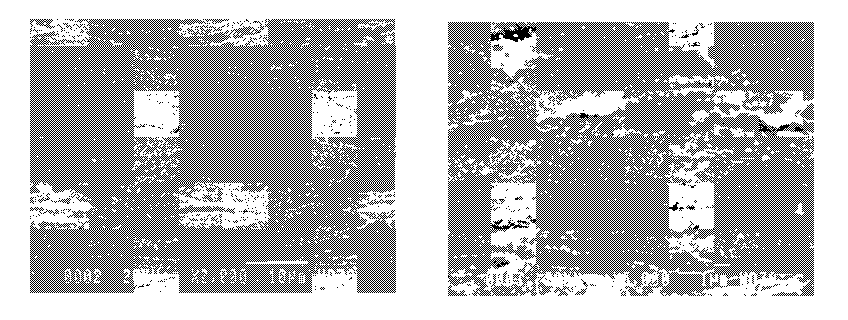 Method for manufacturing hot stamped body having vertical wall and hot stamped body having vertical wall