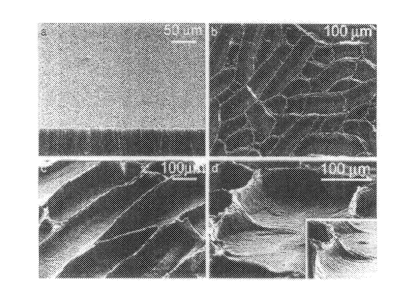 Carbon nanotube film structure and method for manufacturing the same