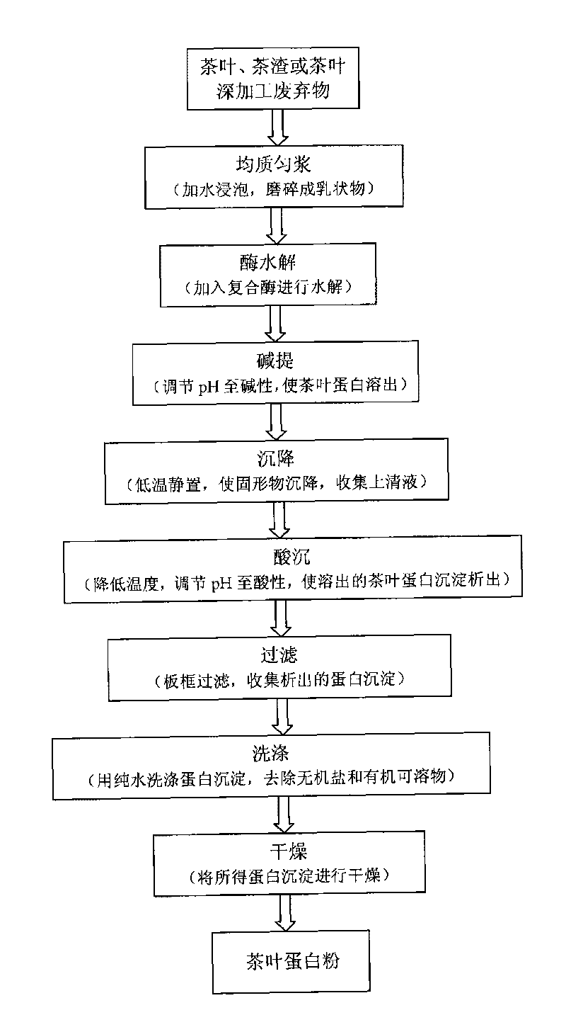 Tea leaf protein polypeptide and preparation method and application thereof