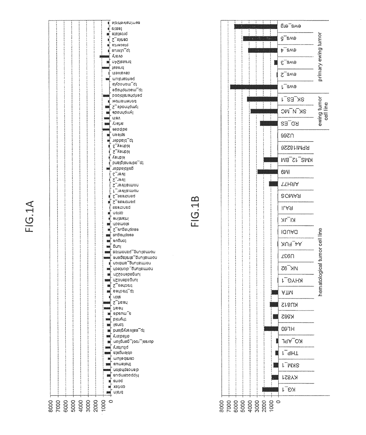 Diagnosis and treatment of cancer using anti-ITM2A antibody