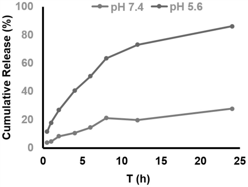 A kind of zl006 cyclohexyl ester polymer nano drug delivery system and preparation method thereof