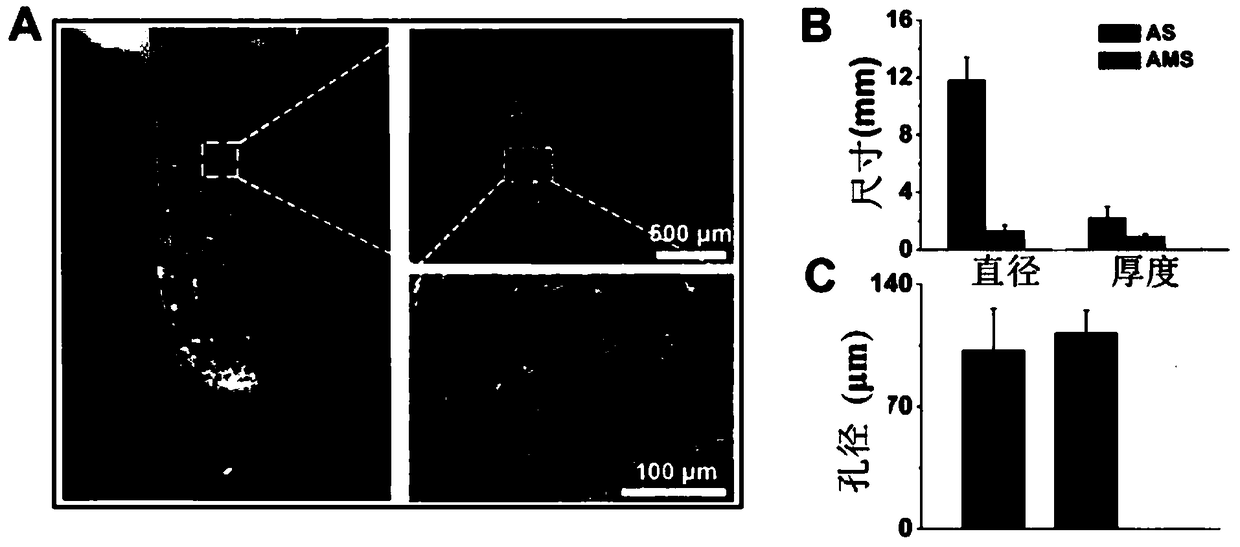 Application of porous micro stent to regeneration and repair of tissues