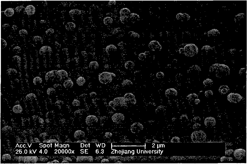 Method for preparing calcium fluoride or rare earth doping calcium fluoride film by adopting electrodeposition