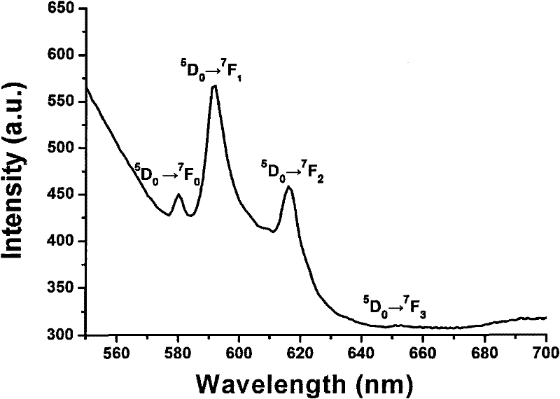 Method for preparing calcium fluoride or rare earth doping calcium fluoride film by adopting electrodeposition