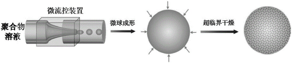 Polymeric microspheres and preparation method therefor