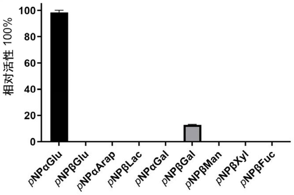 Alpha-glucosidase QsGH97a derived from deep-sea bacteria as well as coding gene and application thereof