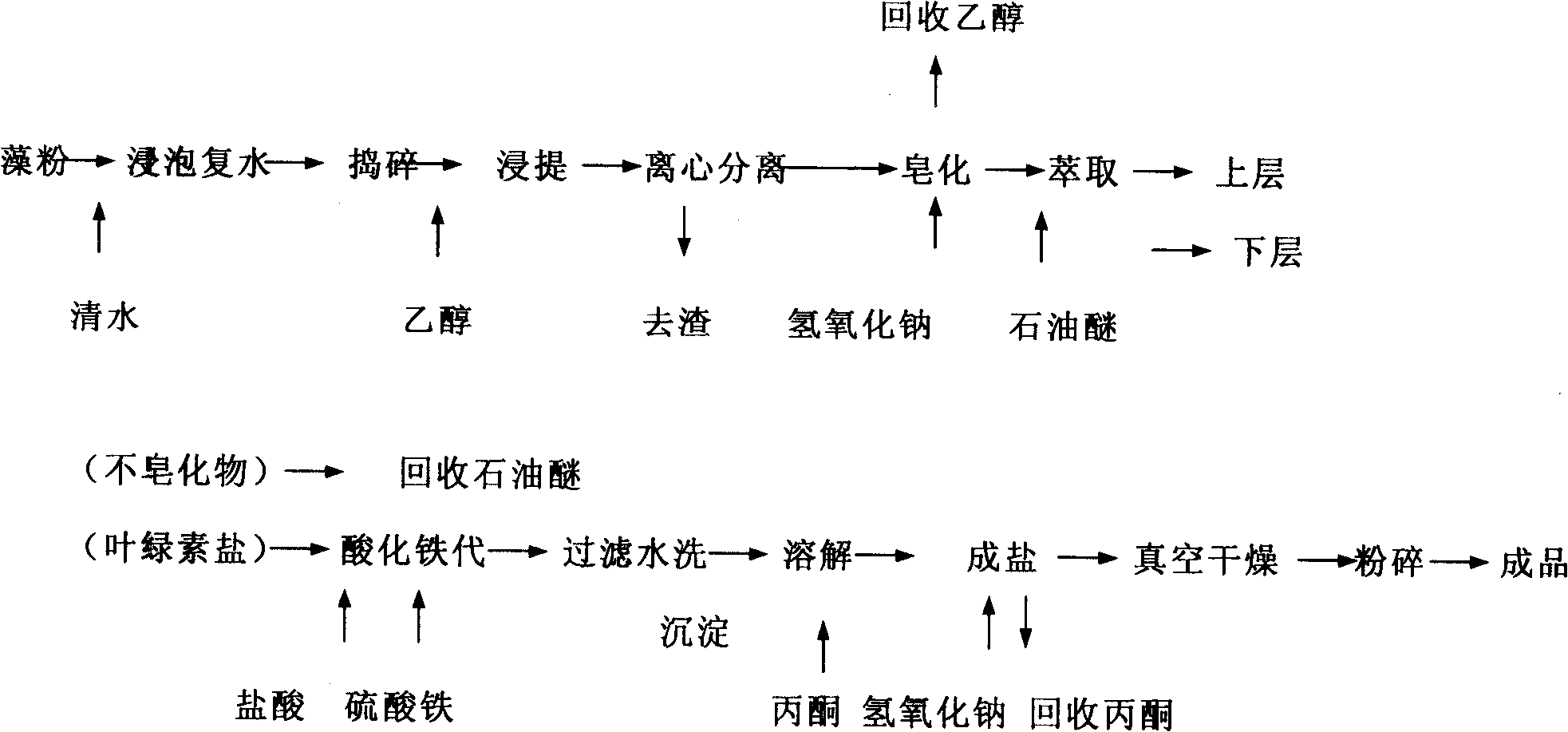 Spirulina extract and preparation thereof