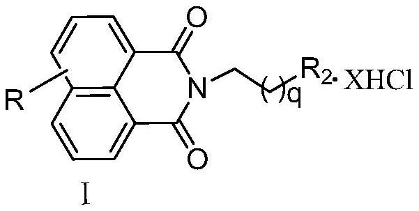 Naphthalimide-polyamine conjugate as well as preparation method and application thereof