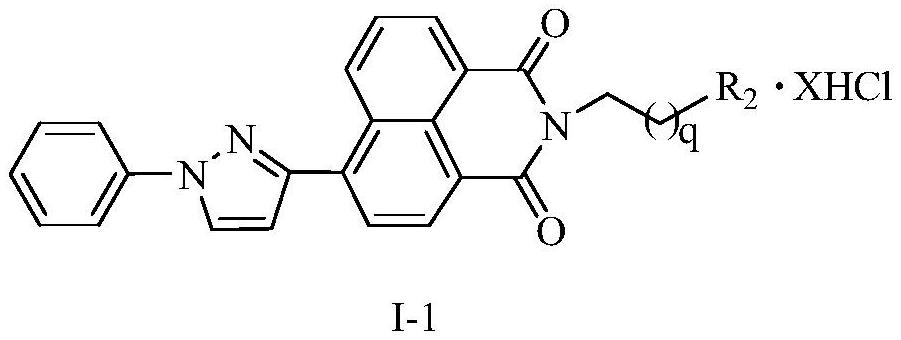 Naphthalimide-polyamine conjugate as well as preparation method and application thereof