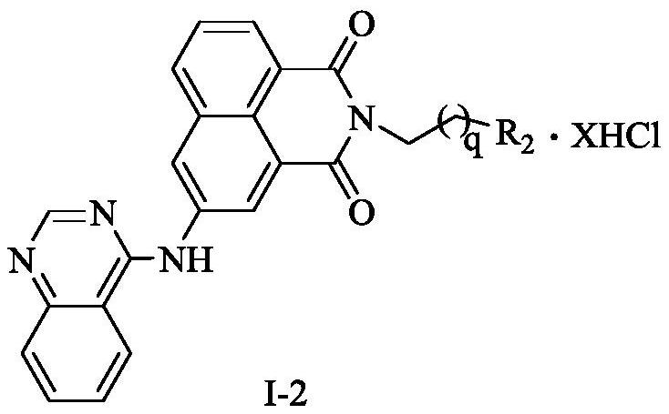 Naphthalimide-polyamine conjugate as well as preparation method and application thereof