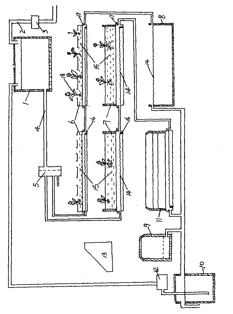 Biomass cyclic planting system on roof