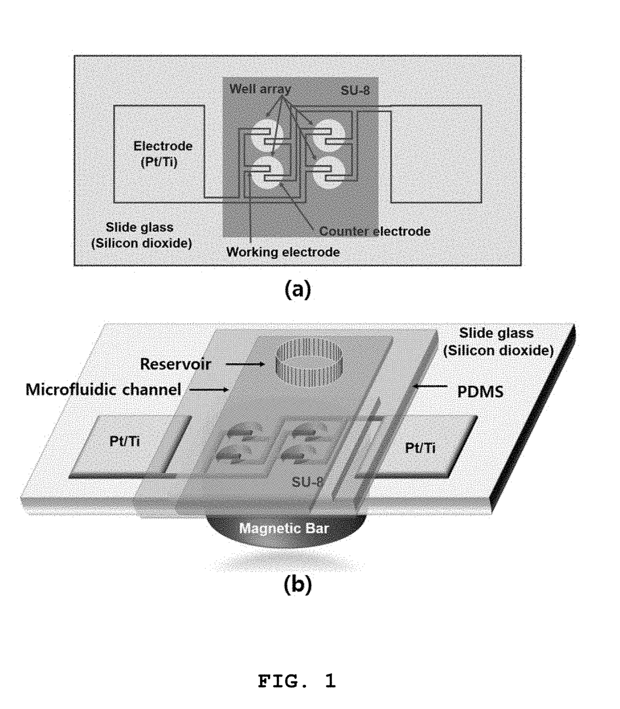 Method for diagnosing diseases through oligomer analysis of abnormally aggregated proteins