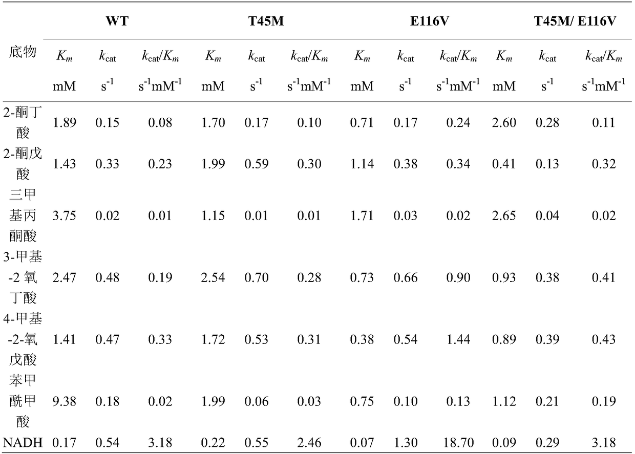 Construction of leucine dehydrogenase mutants and application thereof