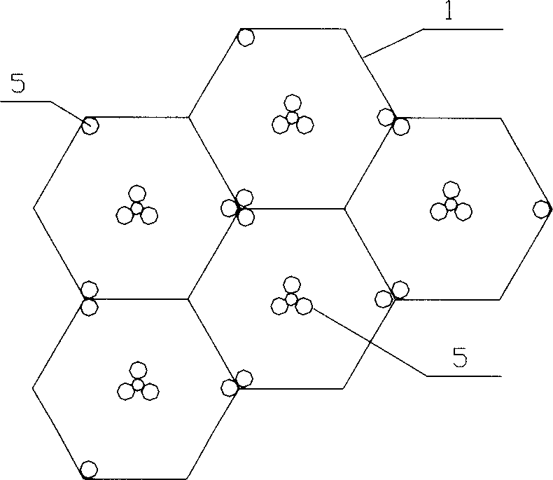 Assembled plant culturing apparatus