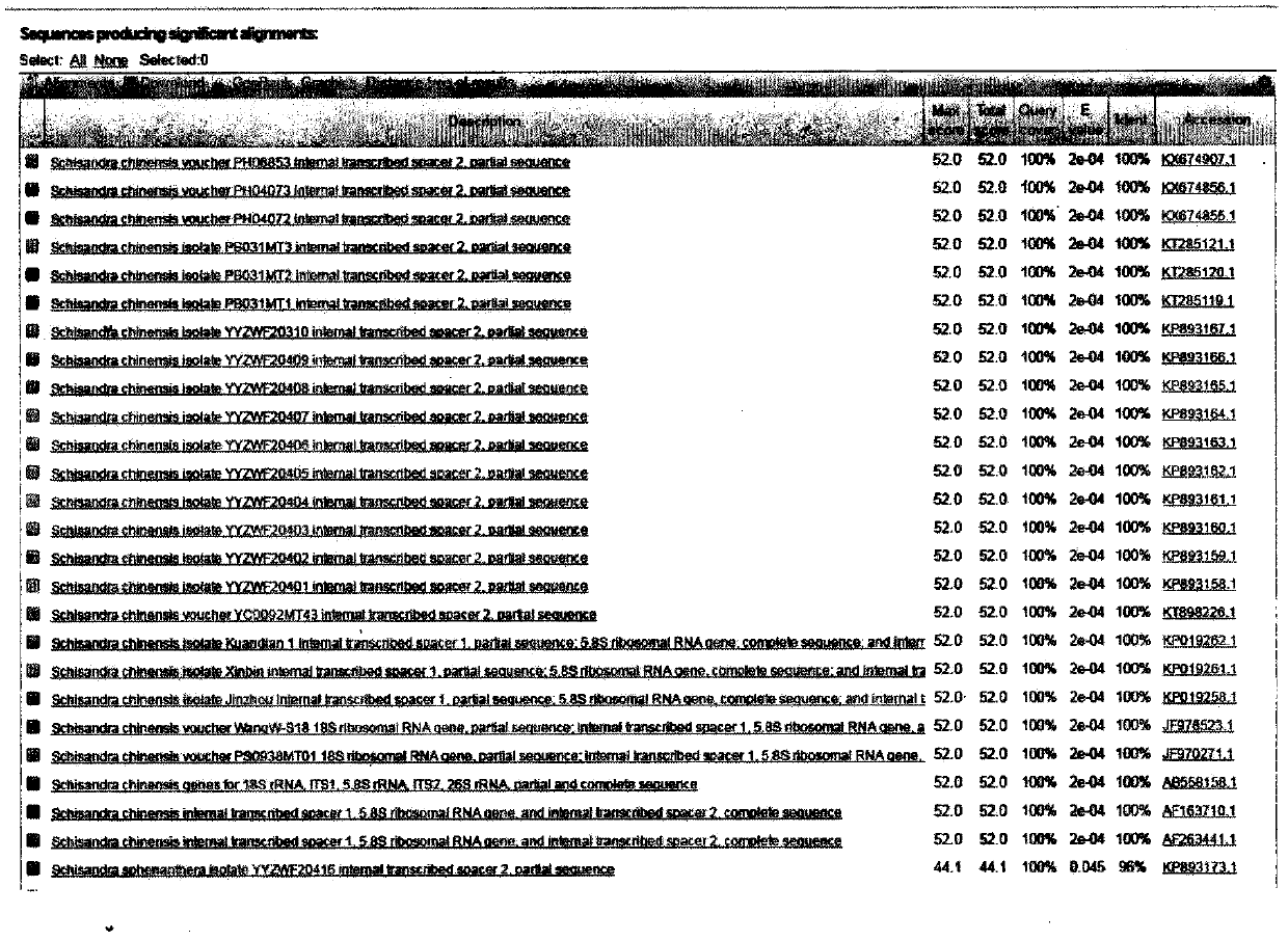 Schisandra chinensis molecular identity card and identification method