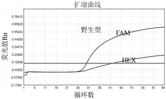 Kit for directly detecting folic acid medication sensitive gene by use of blood and application method thereof