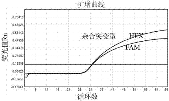 Kit for directly detecting folic acid medication sensitive gene by use of blood and application method thereof