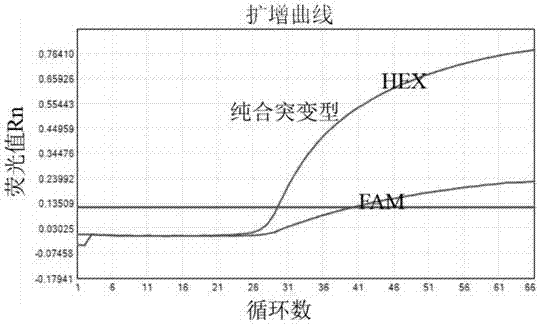 Kit for directly detecting folic acid medication sensitive gene by use of blood and application method thereof