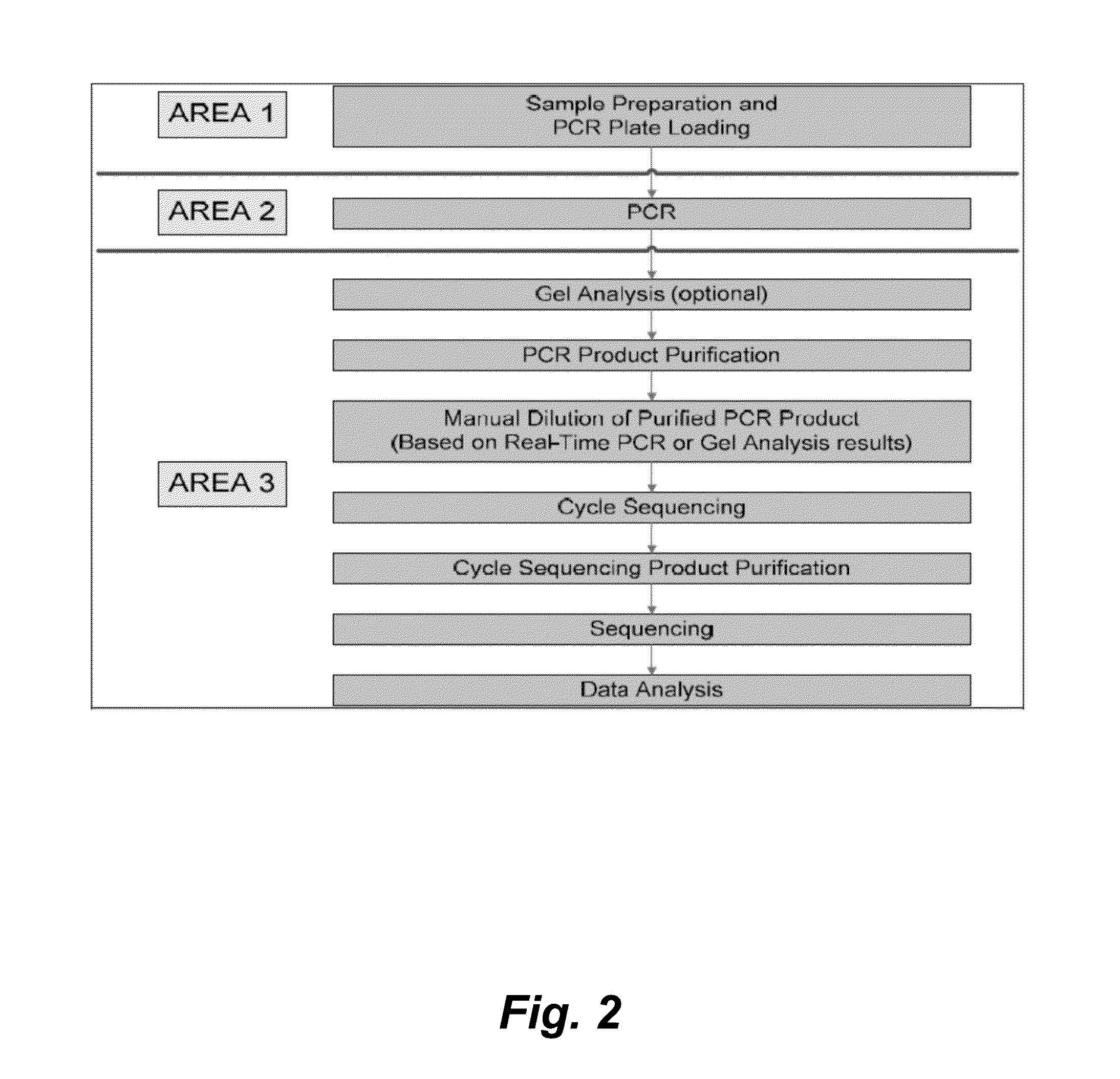 Hepatitis b virus typing and resistance assay