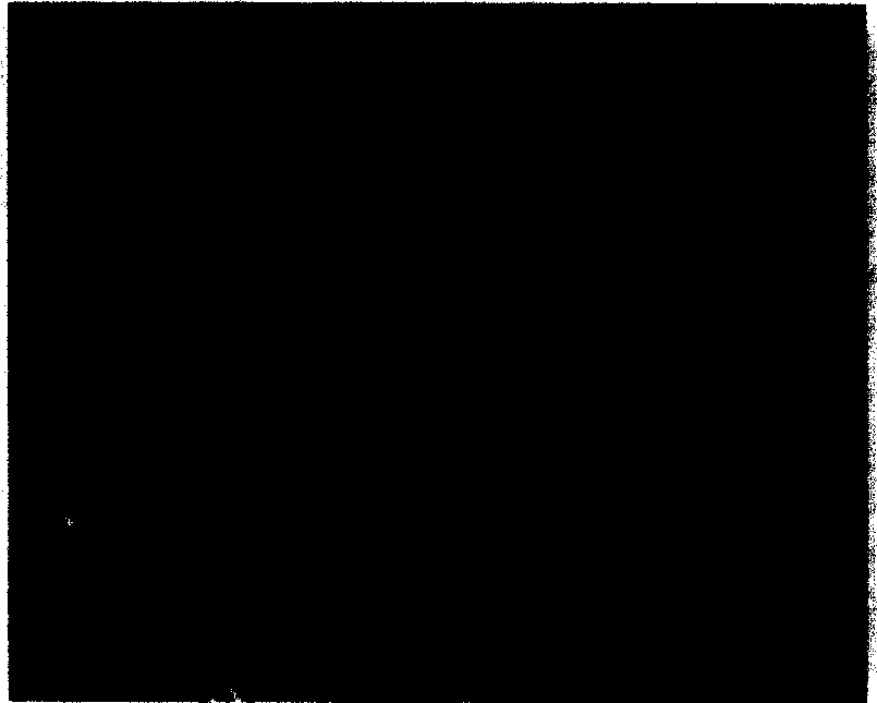 Supersonic spraying method for preparing vanadium pentoxide thin film