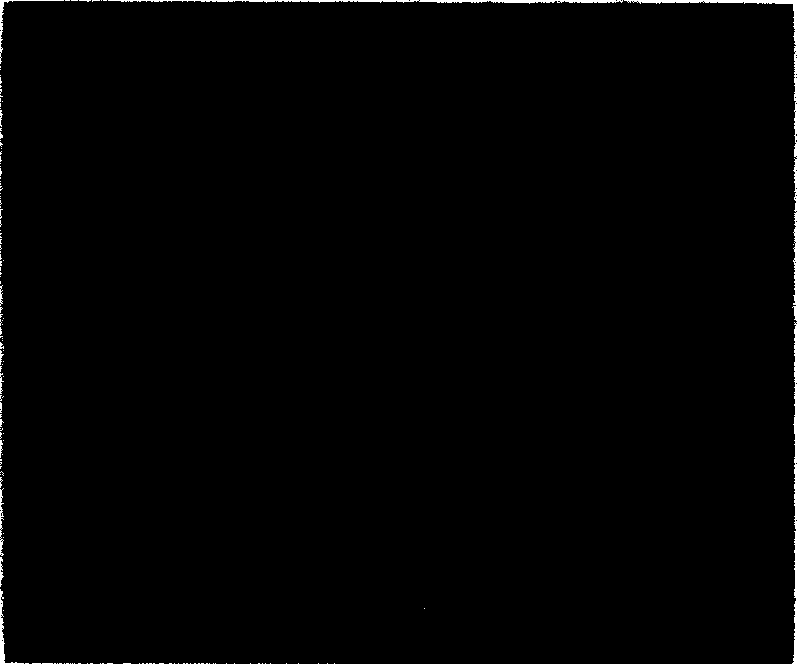 Supersonic spraying method for preparing vanadium pentoxide thin film