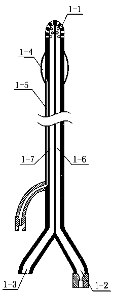 Washing and drainage device for high position fistula