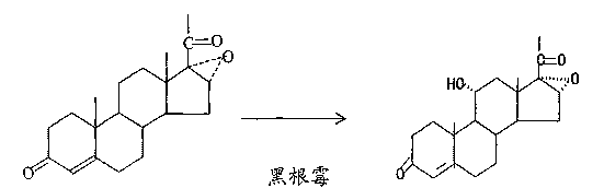 Process for synthesizing and preparing mildew oxide by mildew fermentation organisms and used novel nitrogen source