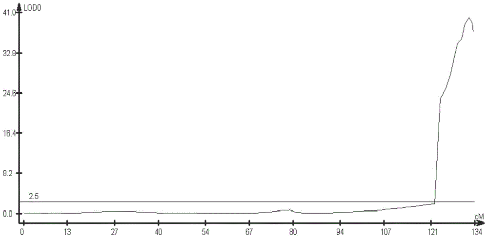 A Molecular Marker Closely Linked to the Soybean Rust Resistance Gene Locus and Its Application