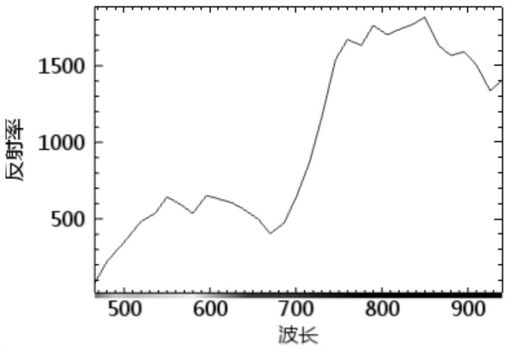 Water chlorophyll concentration inversion method and device based on hyperspectral remote sensing