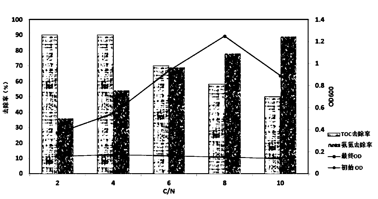 Salt-tolerant, heterotrophic and aerobic nitrifying bacterium strain, culture method, bacterial liquid and application