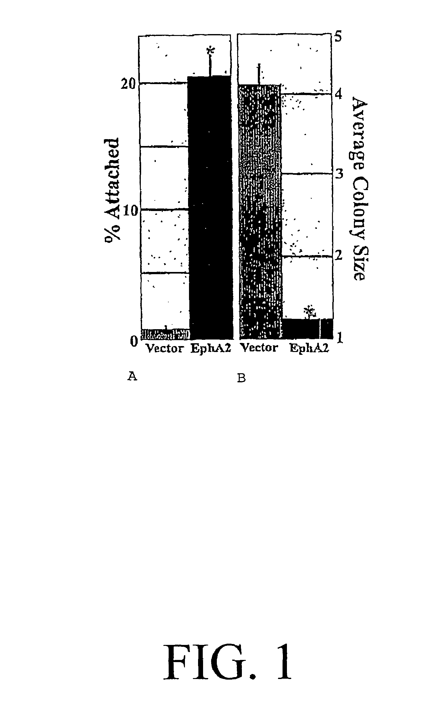 EphA2 monoclonal antibodies and methods of making and using same