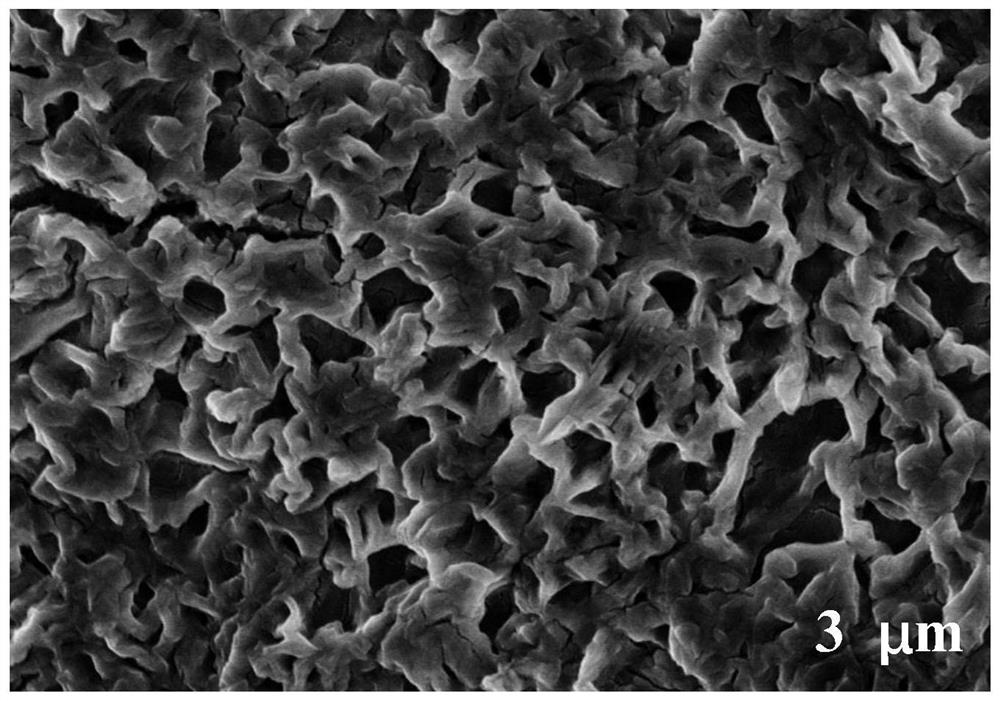 Preparation of self-healing hydrogel electrolyte with ion channel and application of self-healing hydrogel electrolyte in all-solid-state supercapacitor