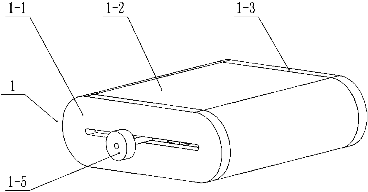 Filter dust removal device