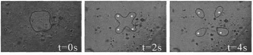 A real-time controllable micro-droplet arraying device and method based on lithium niobate sandwich structure chip