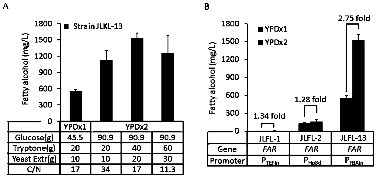 Application of glycometabolism and lipid metabolism for improving synthetic yield of fatty acid derivatives by yarrowia