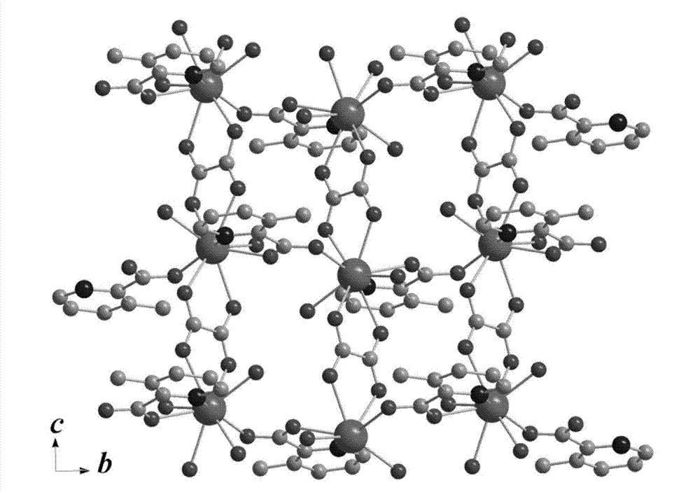 Oxalate-containing two-dimensional terbium coordination polymer green fluorescent material and preparation method thereof