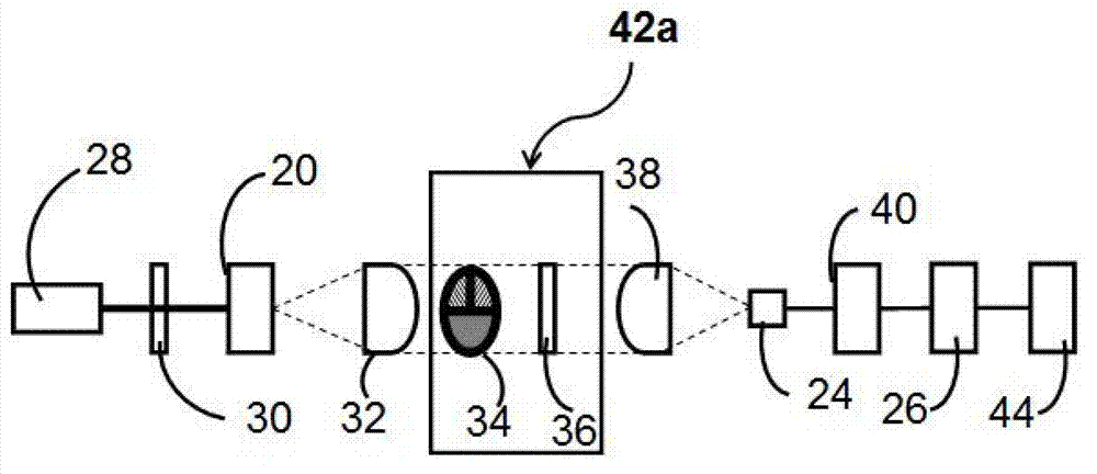 Raman signal detecting and analyzing system and method