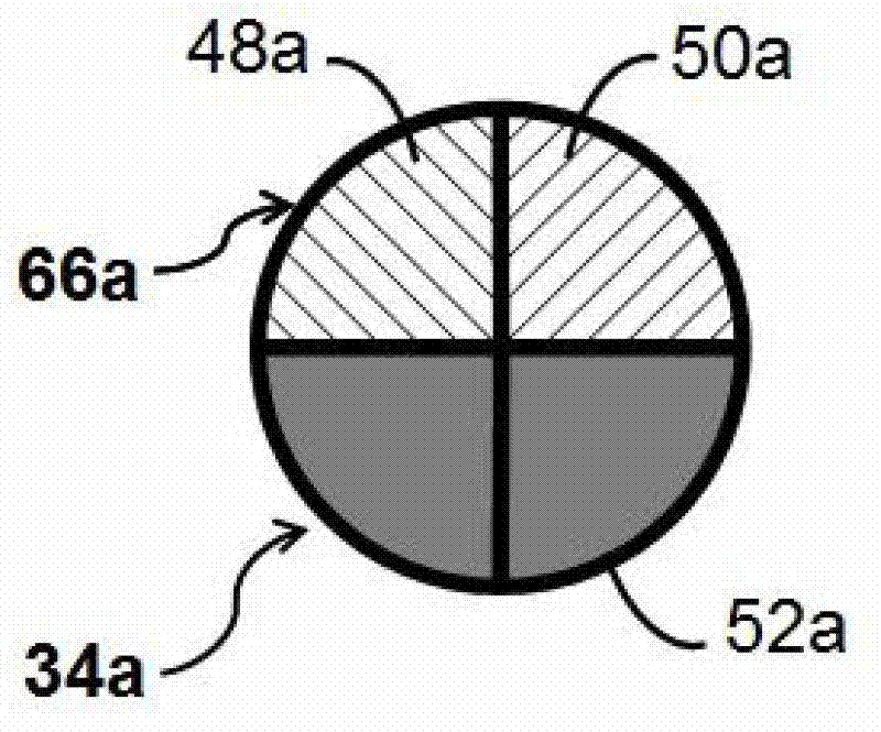 Raman signal detecting and analyzing system and method