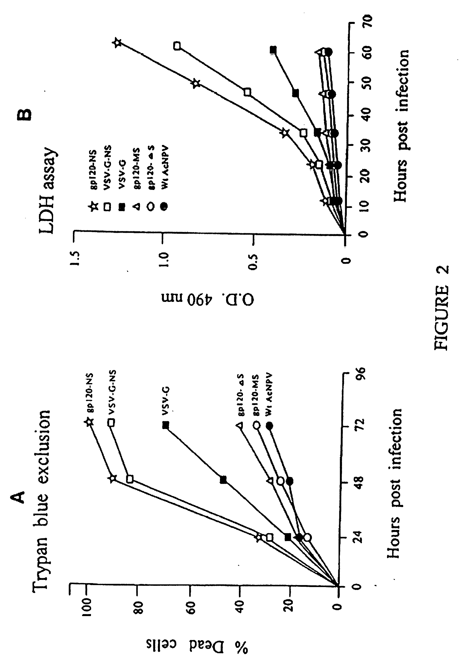 HIV vaccine