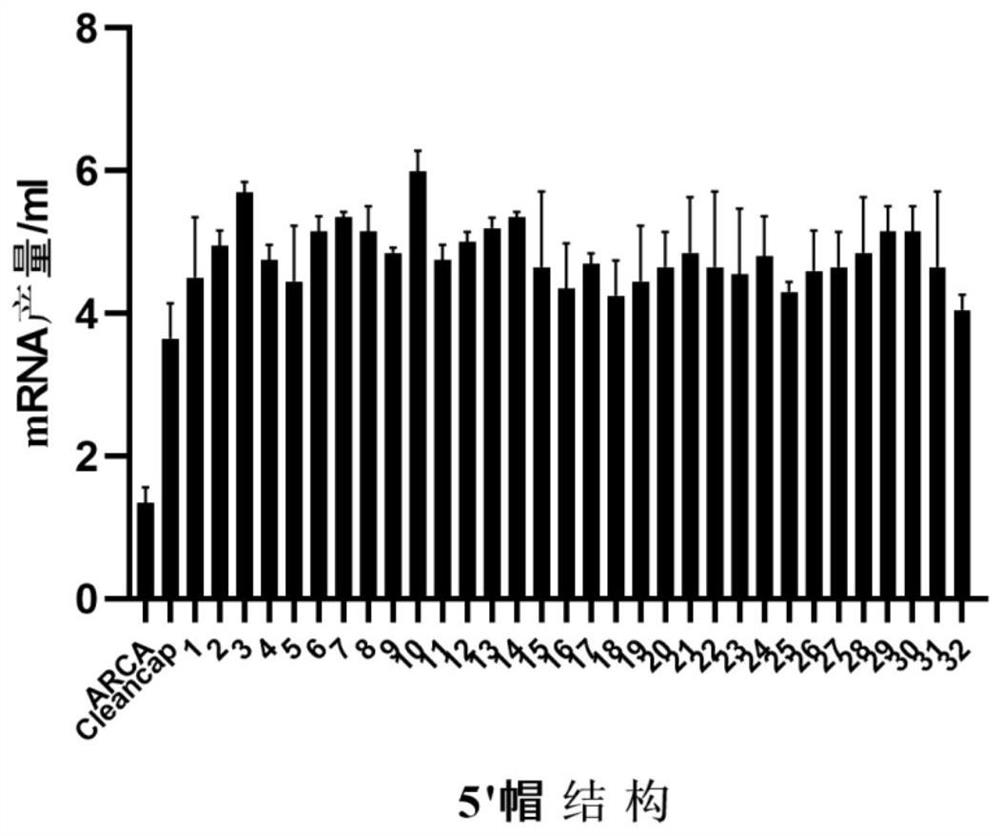 Novel Cap2 structure 5' cap analogue and preparation method thereof