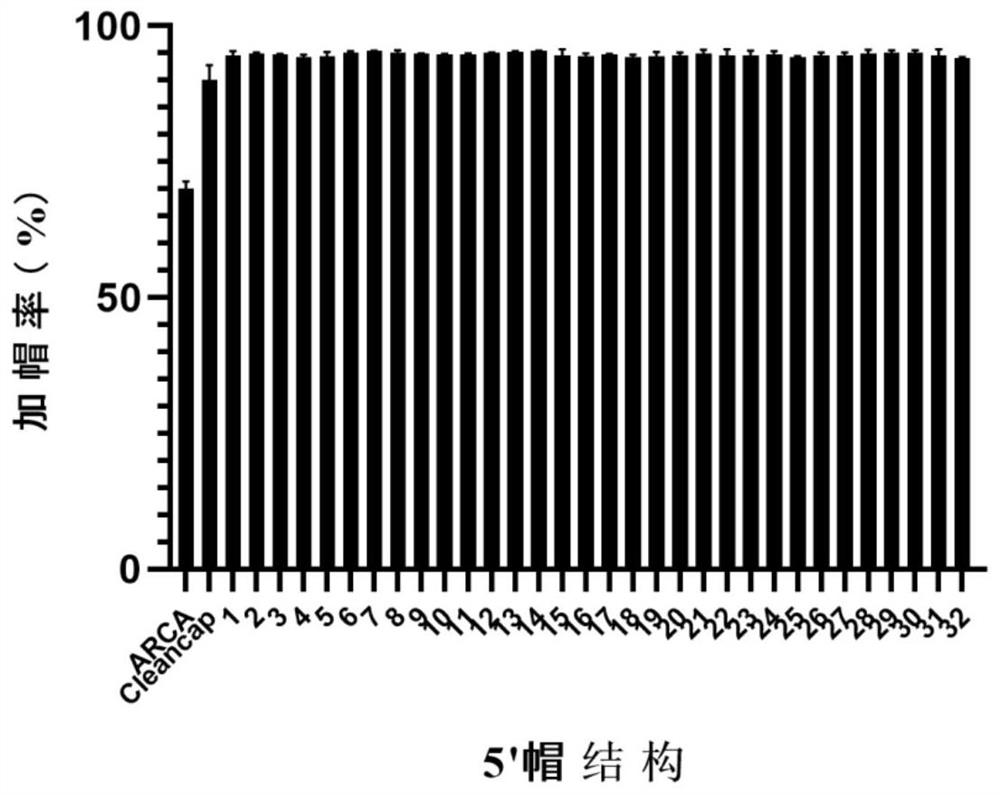 Novel Cap2 structure 5' cap analogue and preparation method thereof